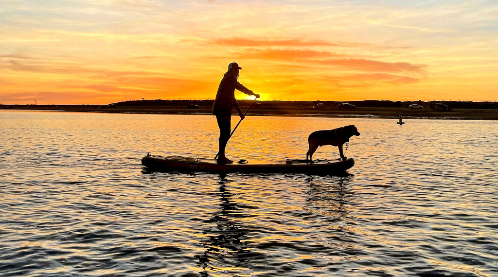 Behind the Board: The Origin Story of SUP Pups