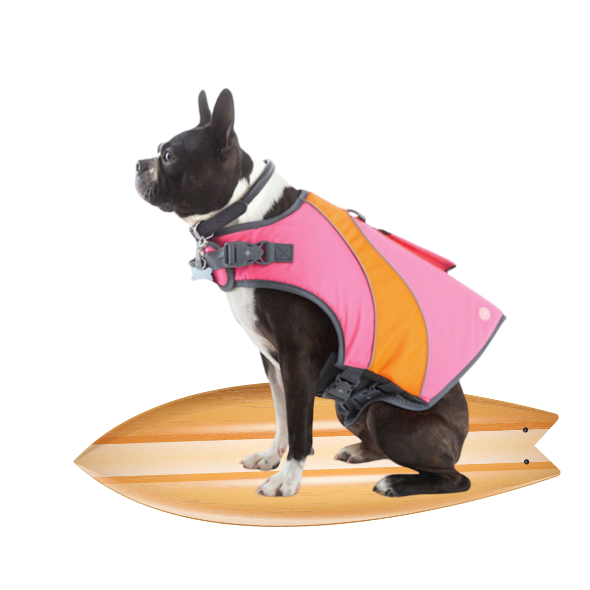 YOULY XXS Dog life Jacket SUP Pups