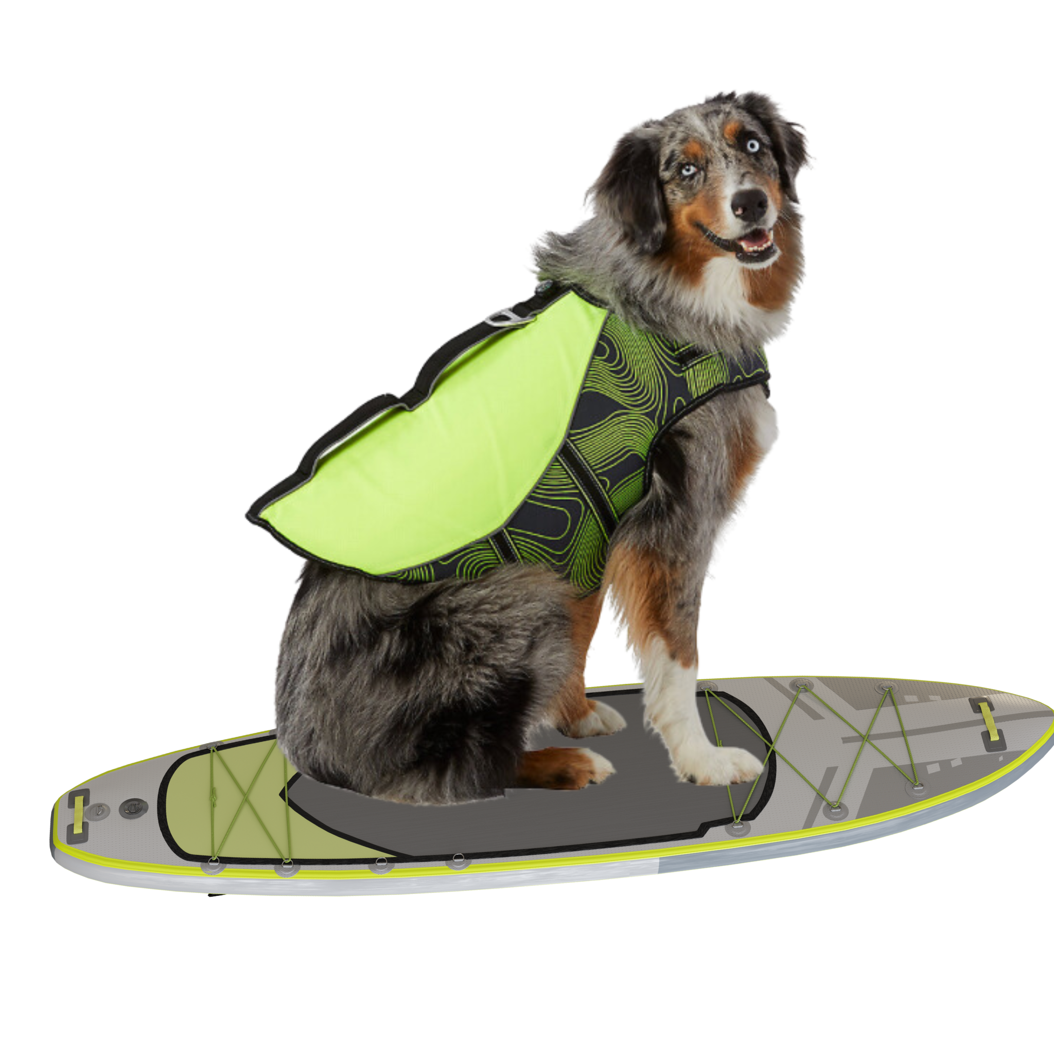 Arcadia dog life hot sale jacket