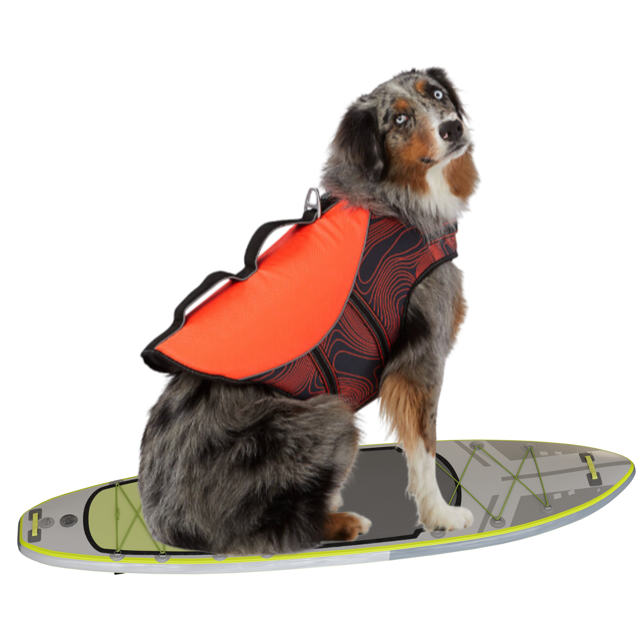 Arcadia trail dog life jacket best sale sizing